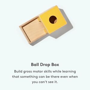 Lovevery Ball Drop Box And Wood Ball Set From The Inspector Play Kit 7-8 Mos